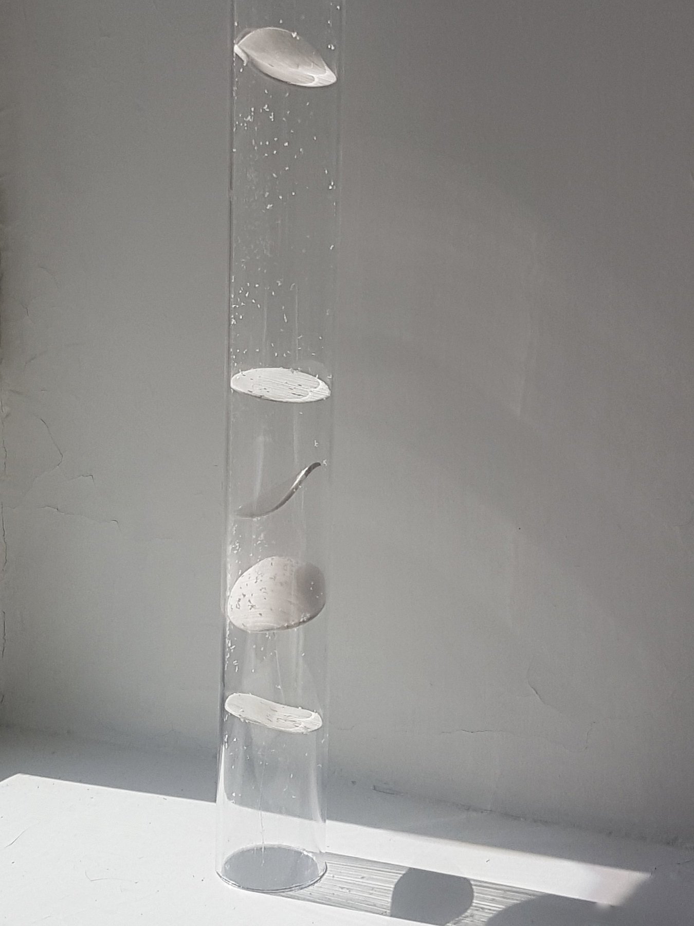 Air Tube 1