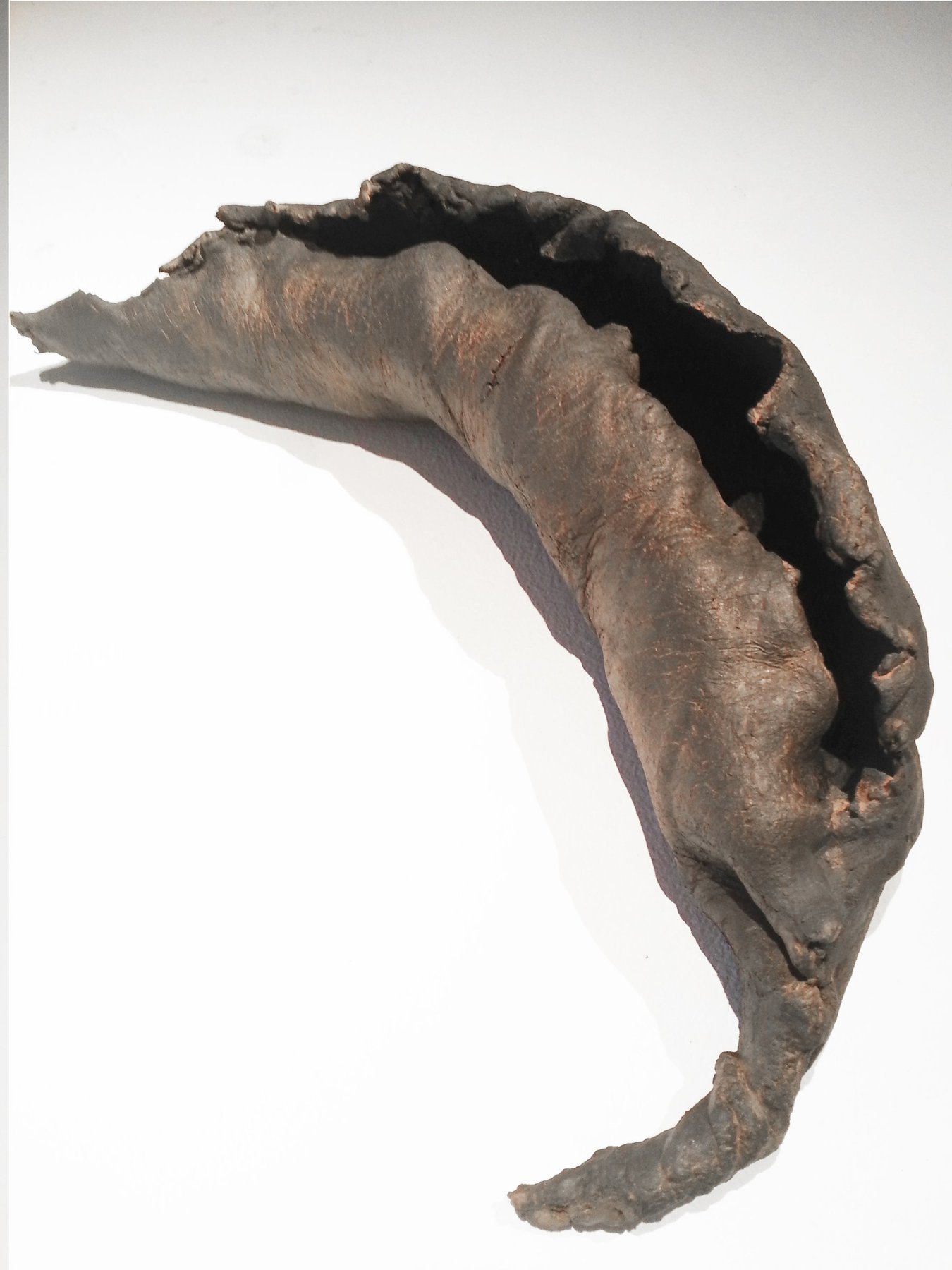 Dead Leaf