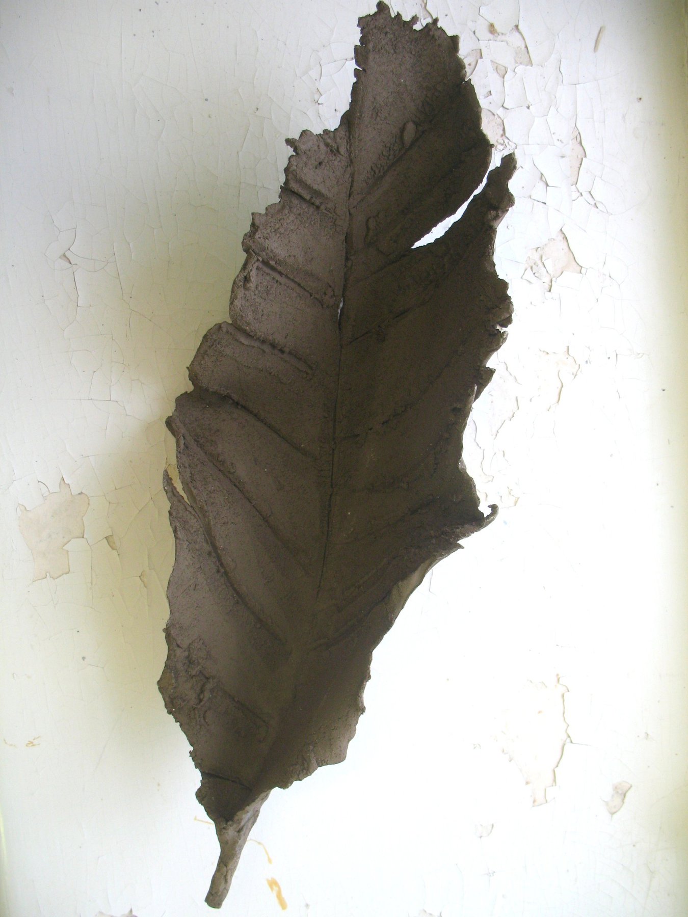 Dead Leaf1