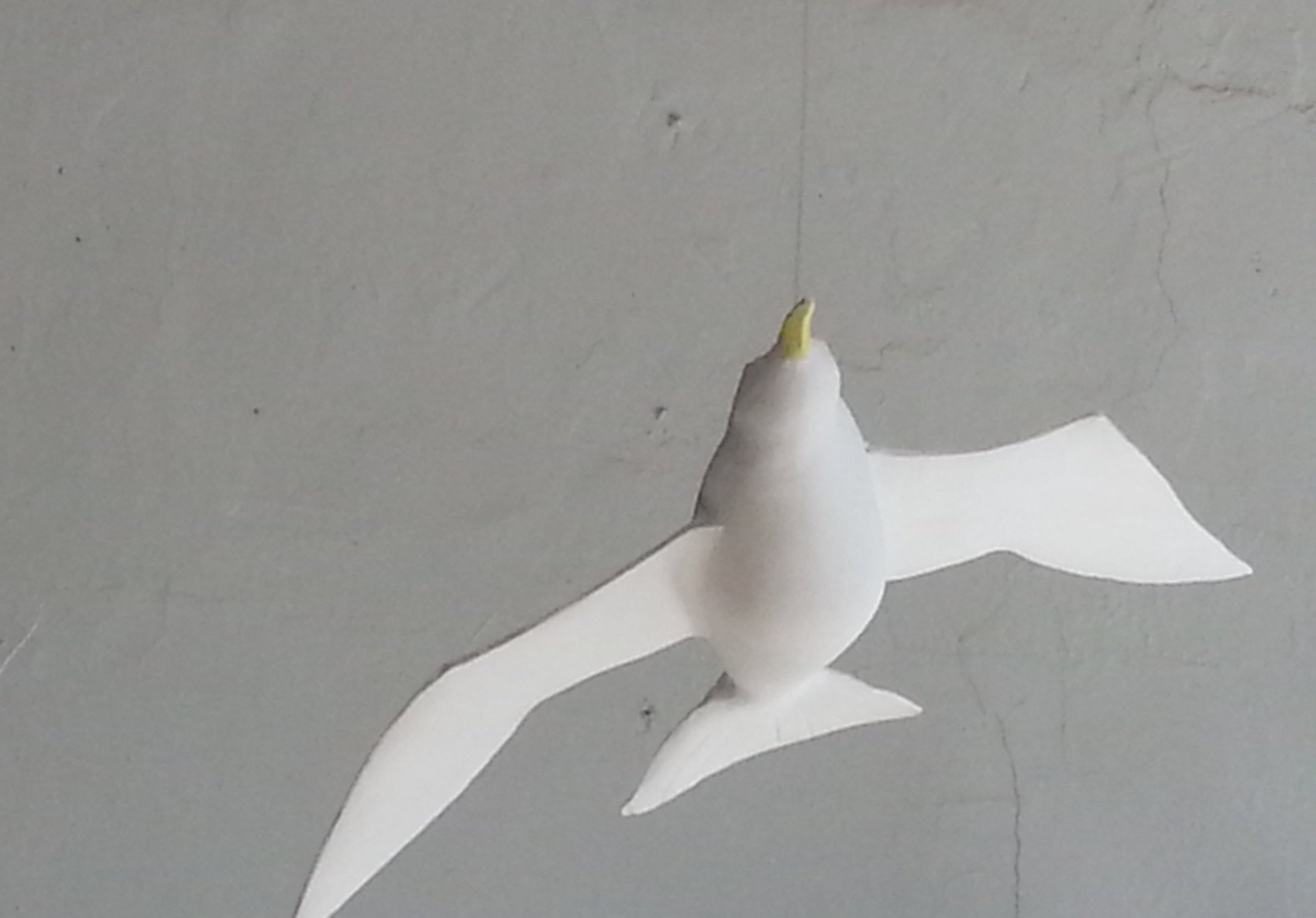 Flying Gulls