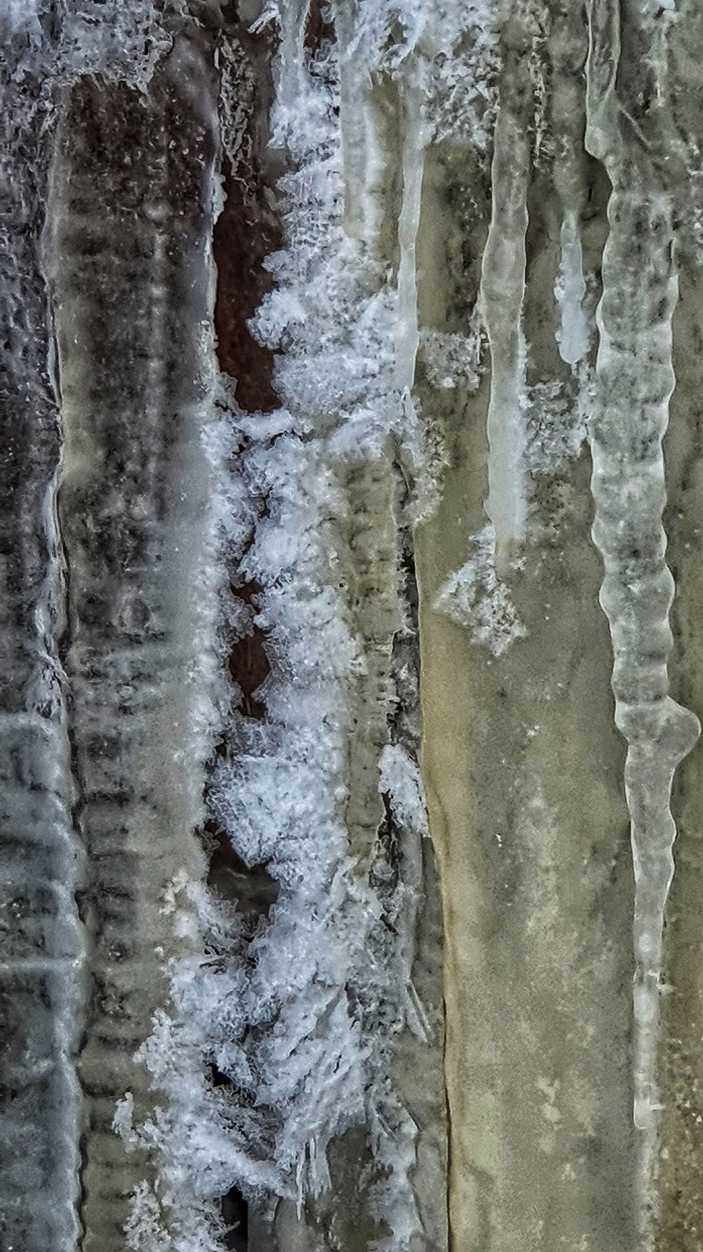 Ice Cellar