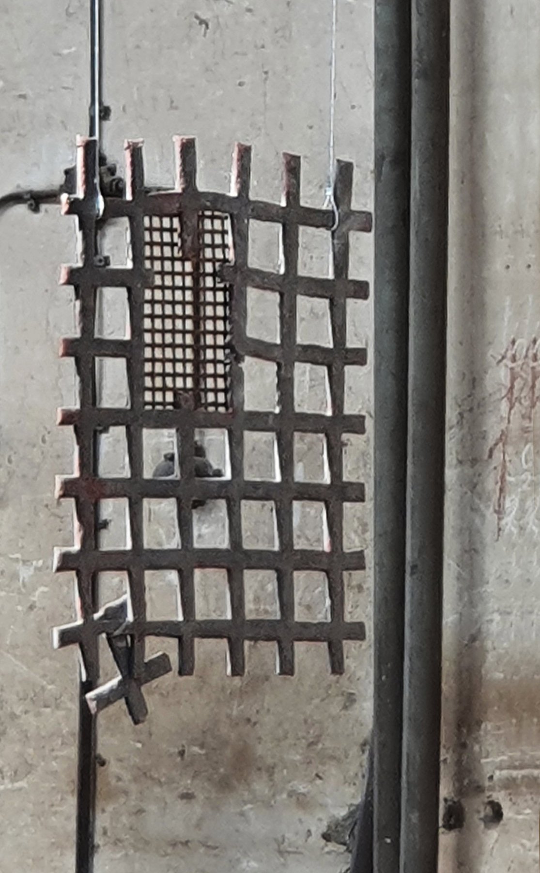 Paikka Relief1