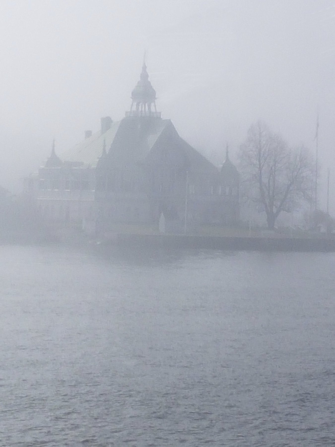 Spring Fog