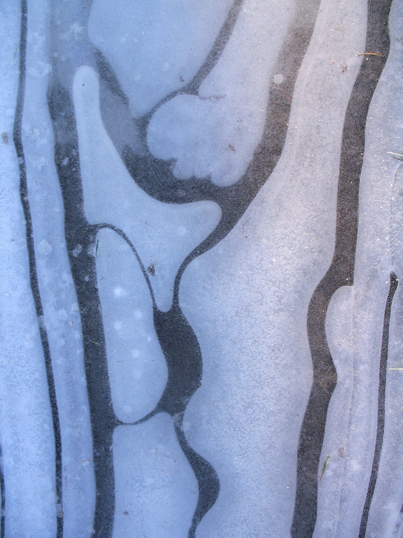 Ice On Puddle 2