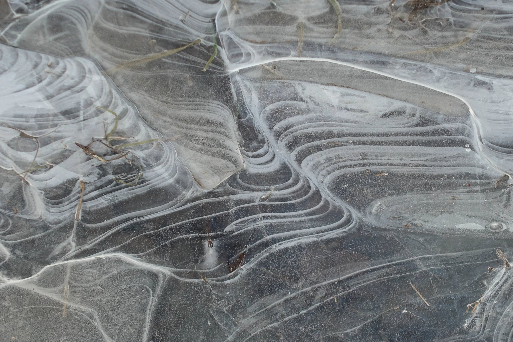 Autumn Ice 2