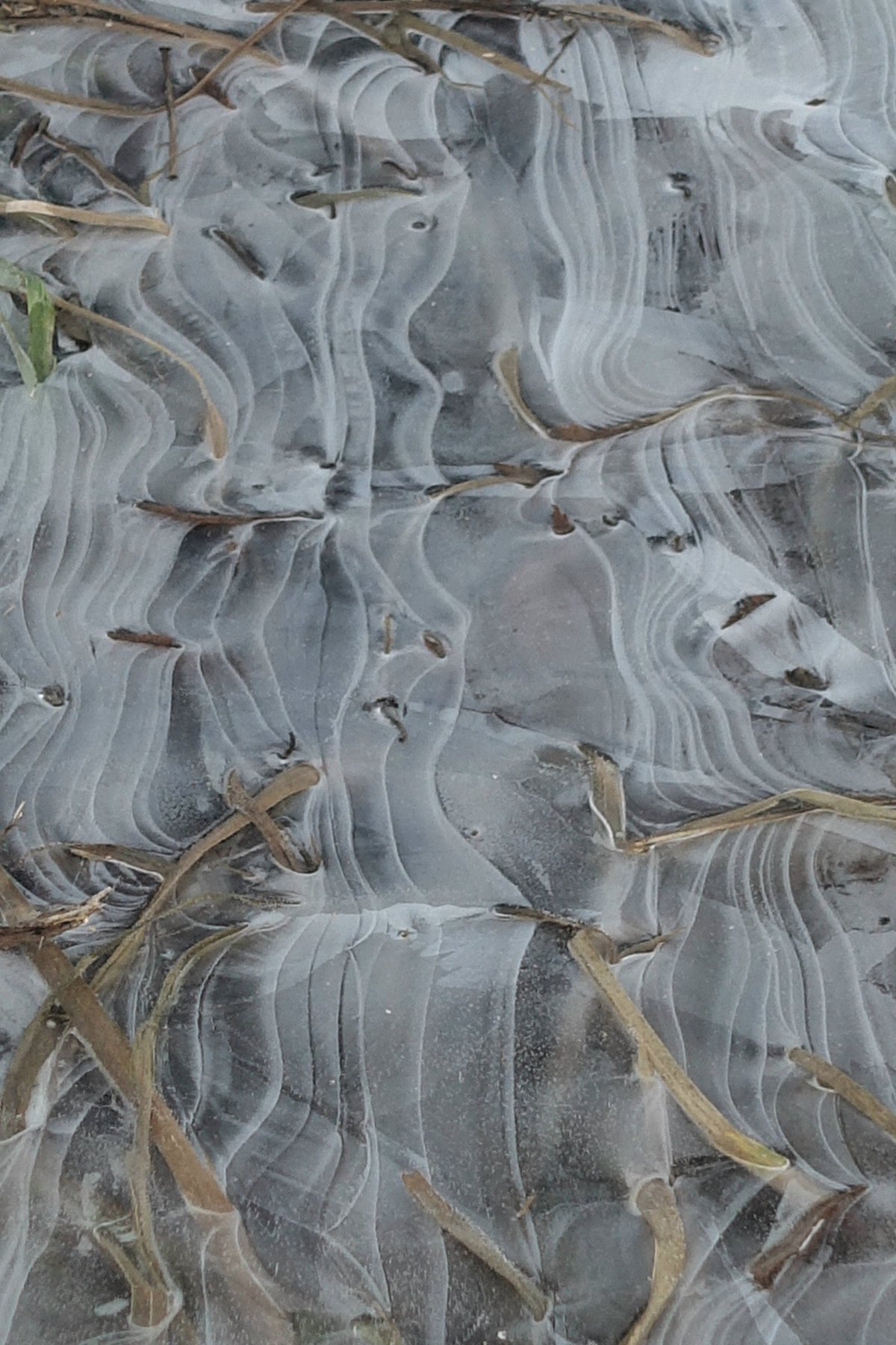 Autumn Ice 3