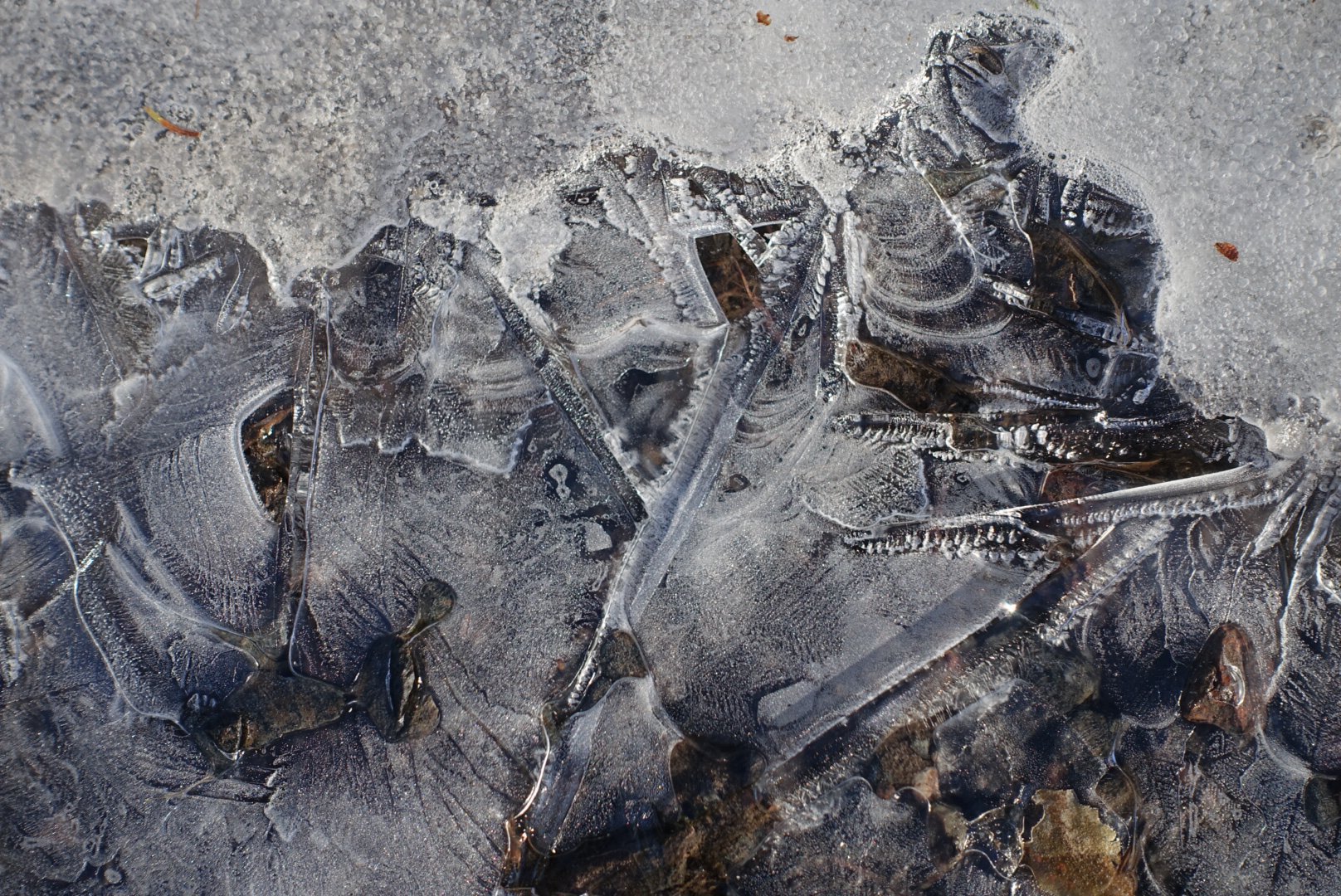 Autumn Ice 8