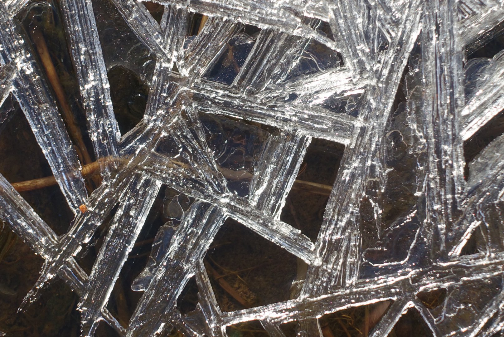 Spring Ice 1