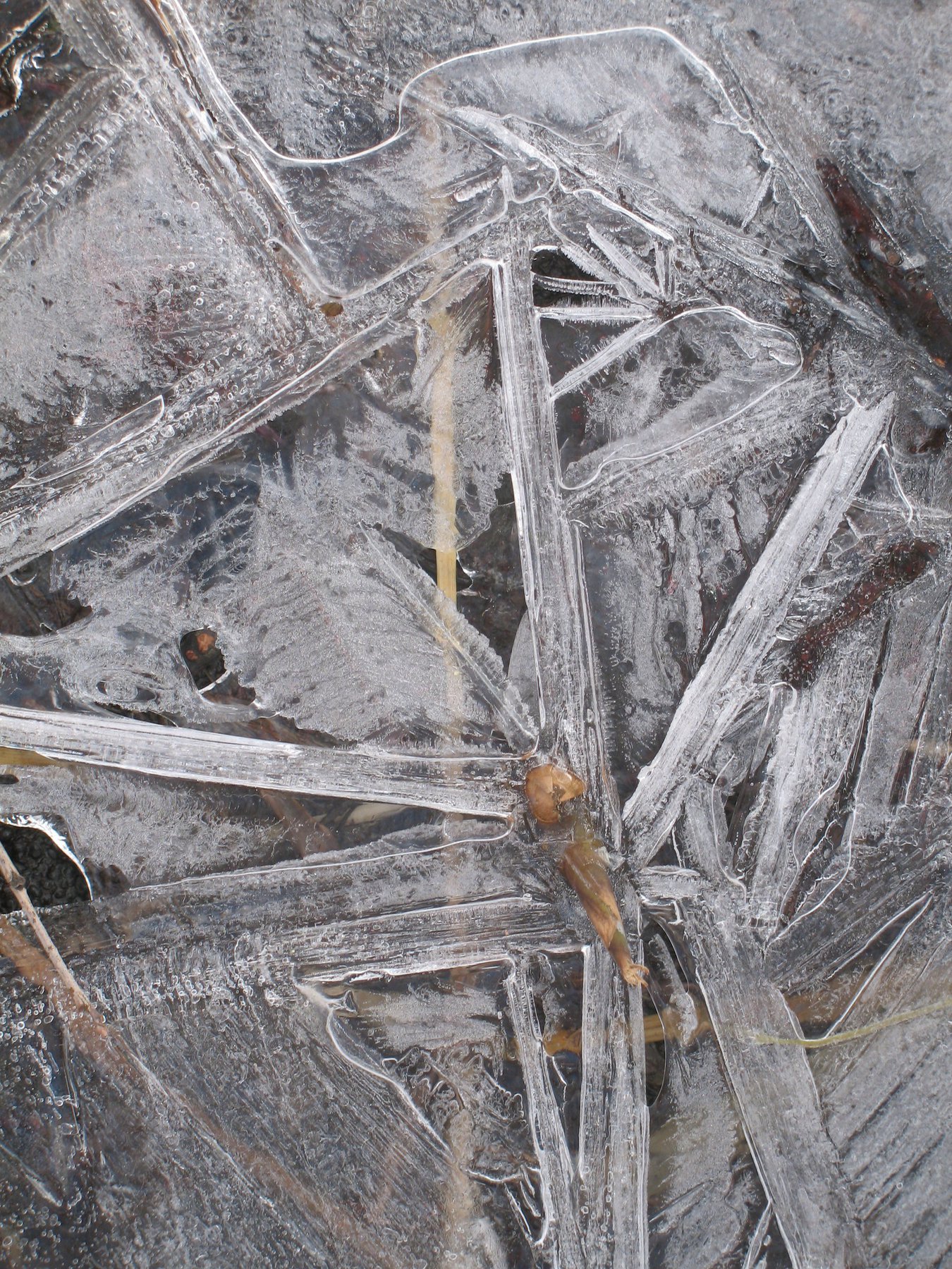Spring Ice 2