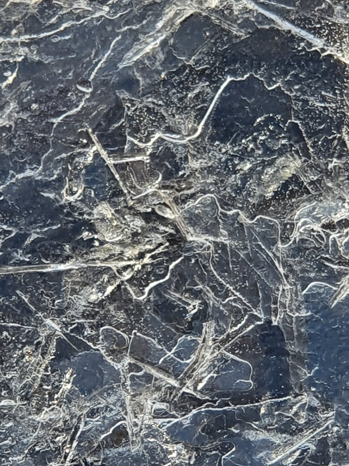 Winter Ice 1