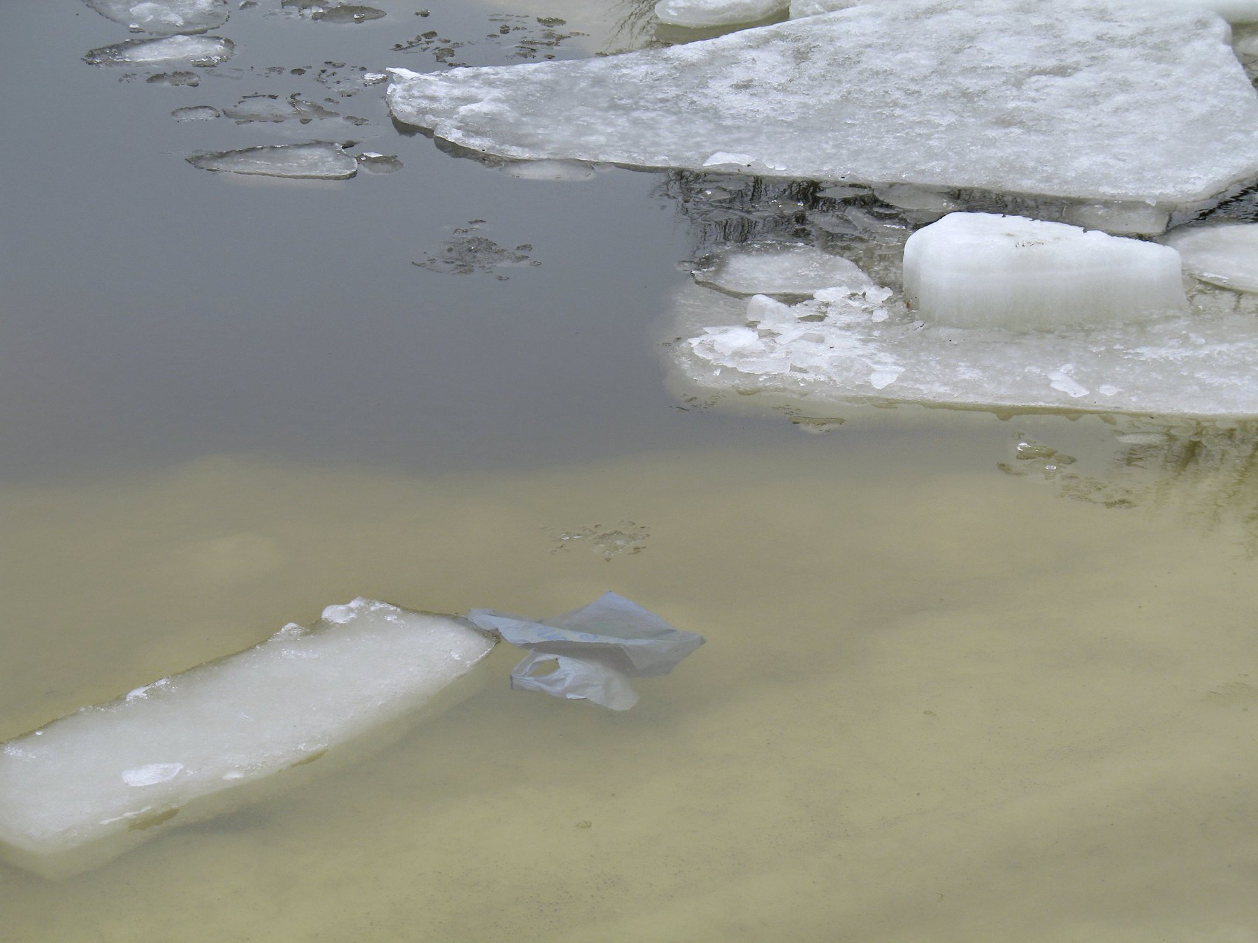 Ice Are Moving