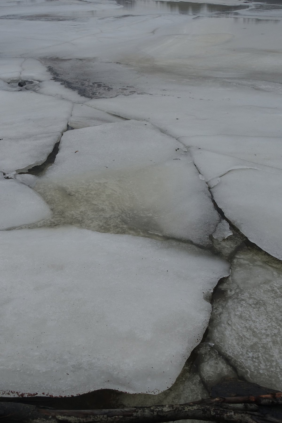 Ice On Beach
