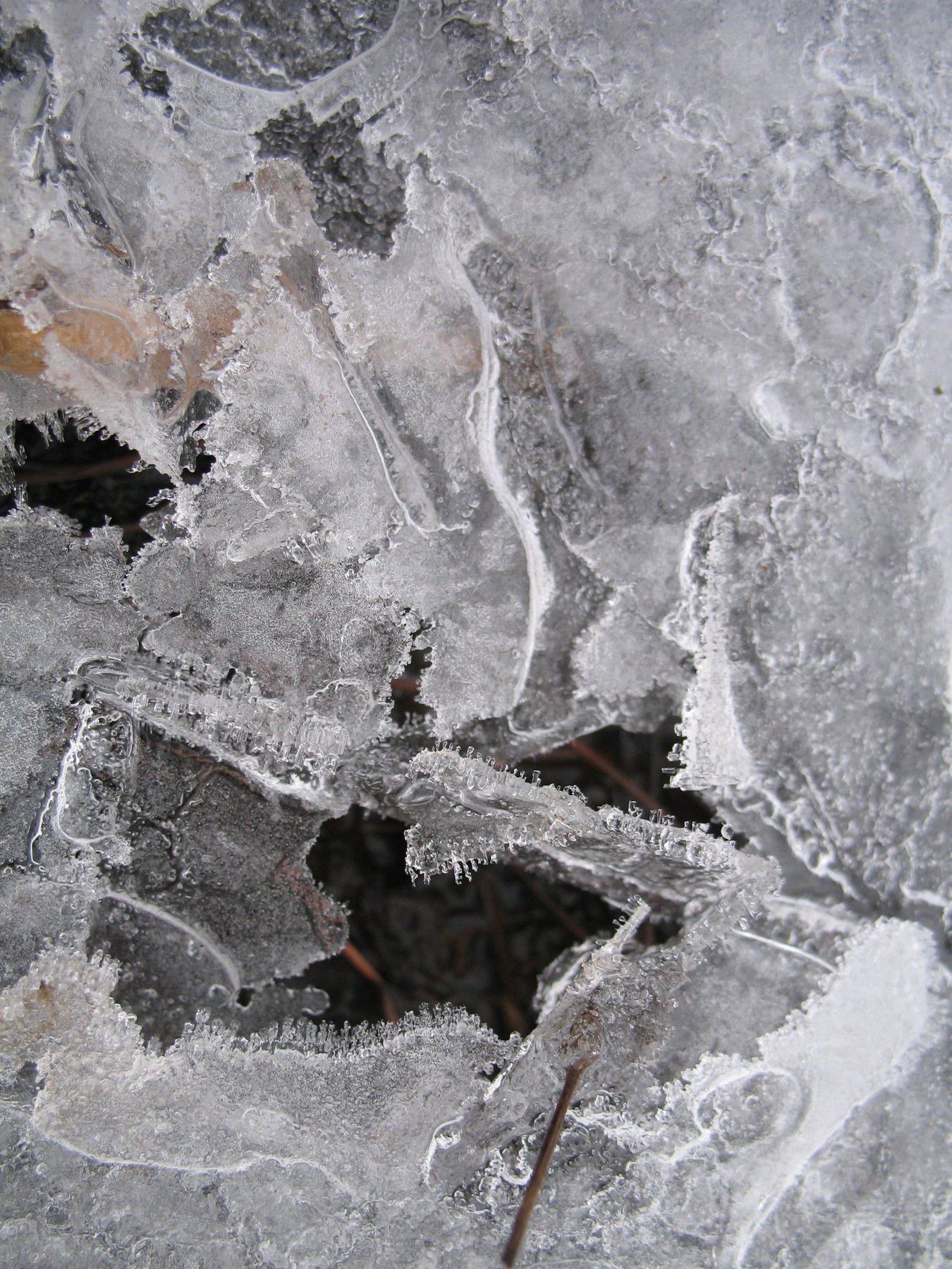 Ice On Puddle