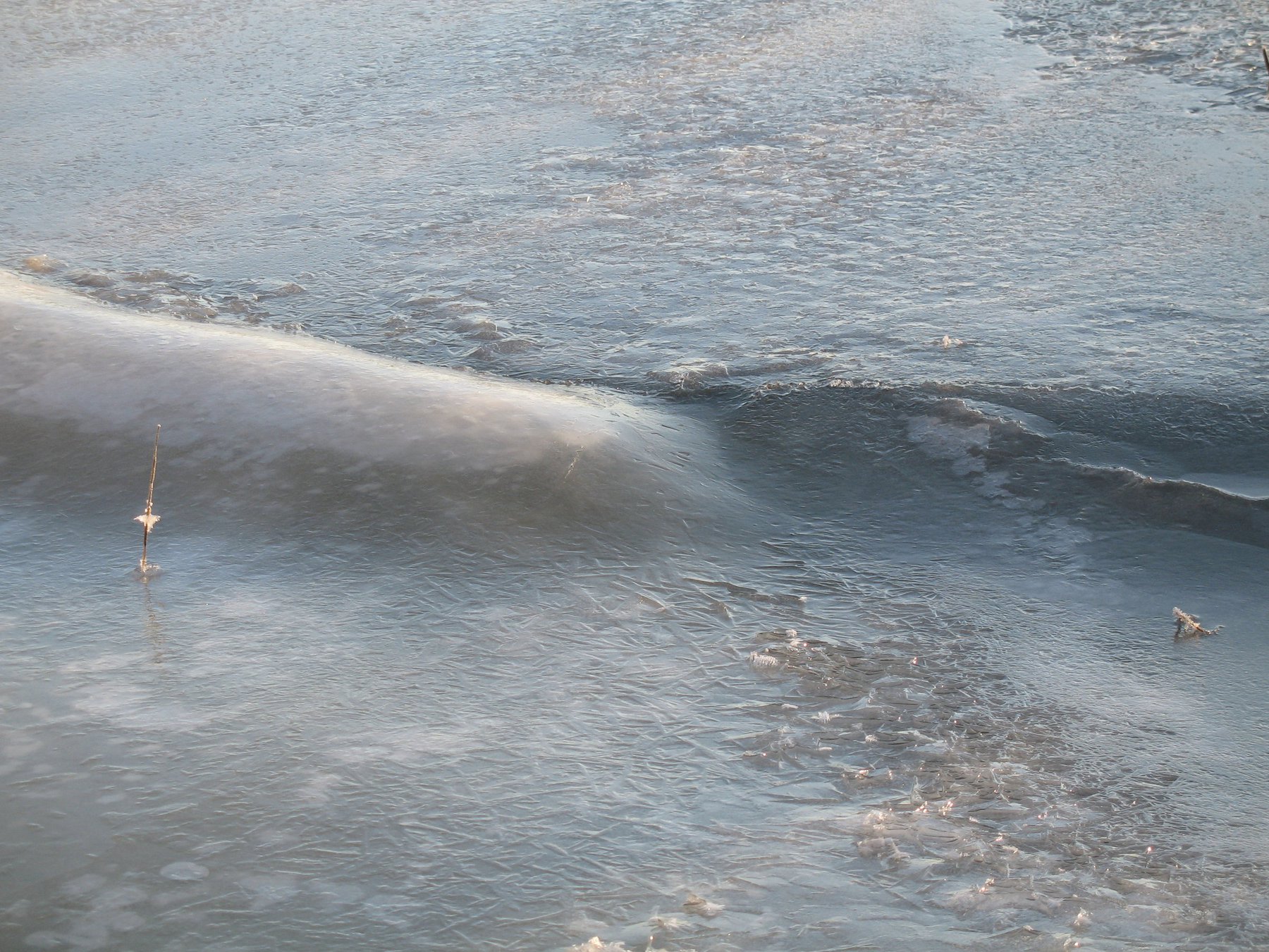 Ice Wave