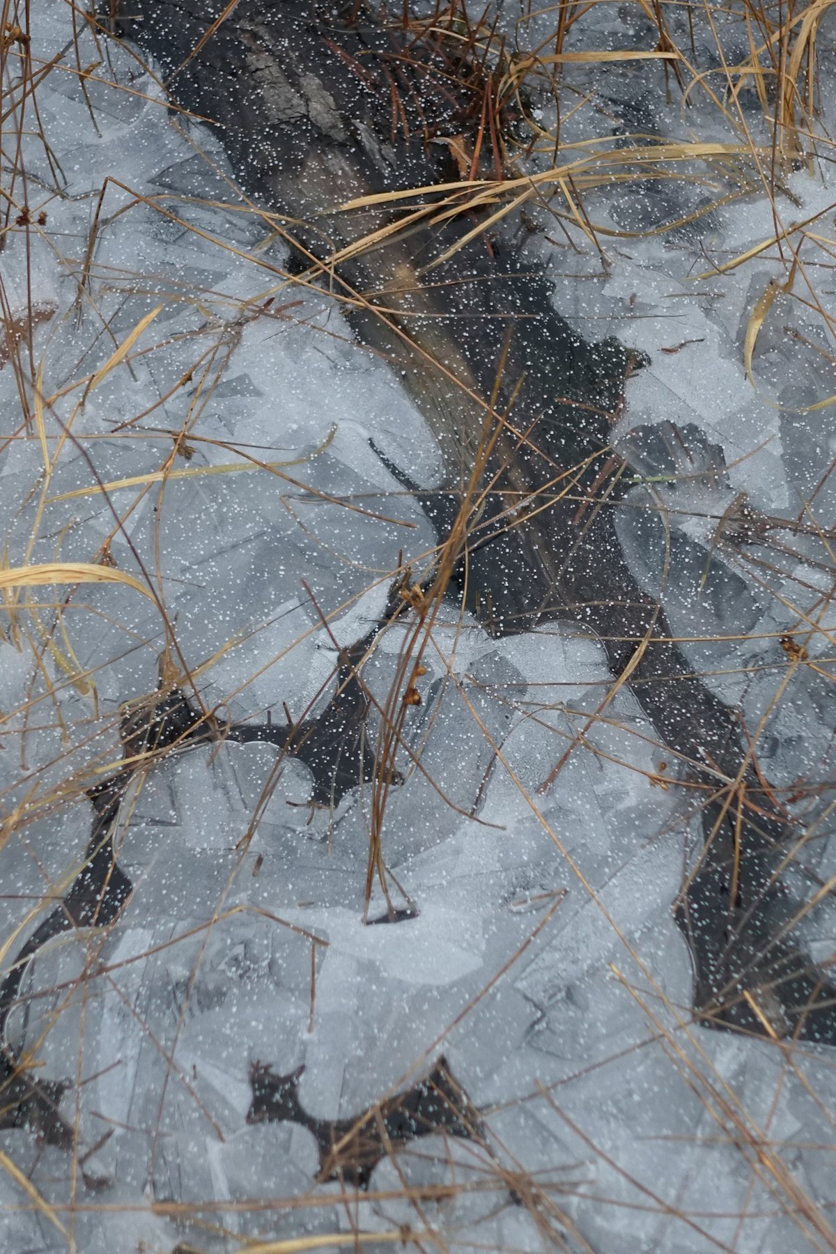 October Ice