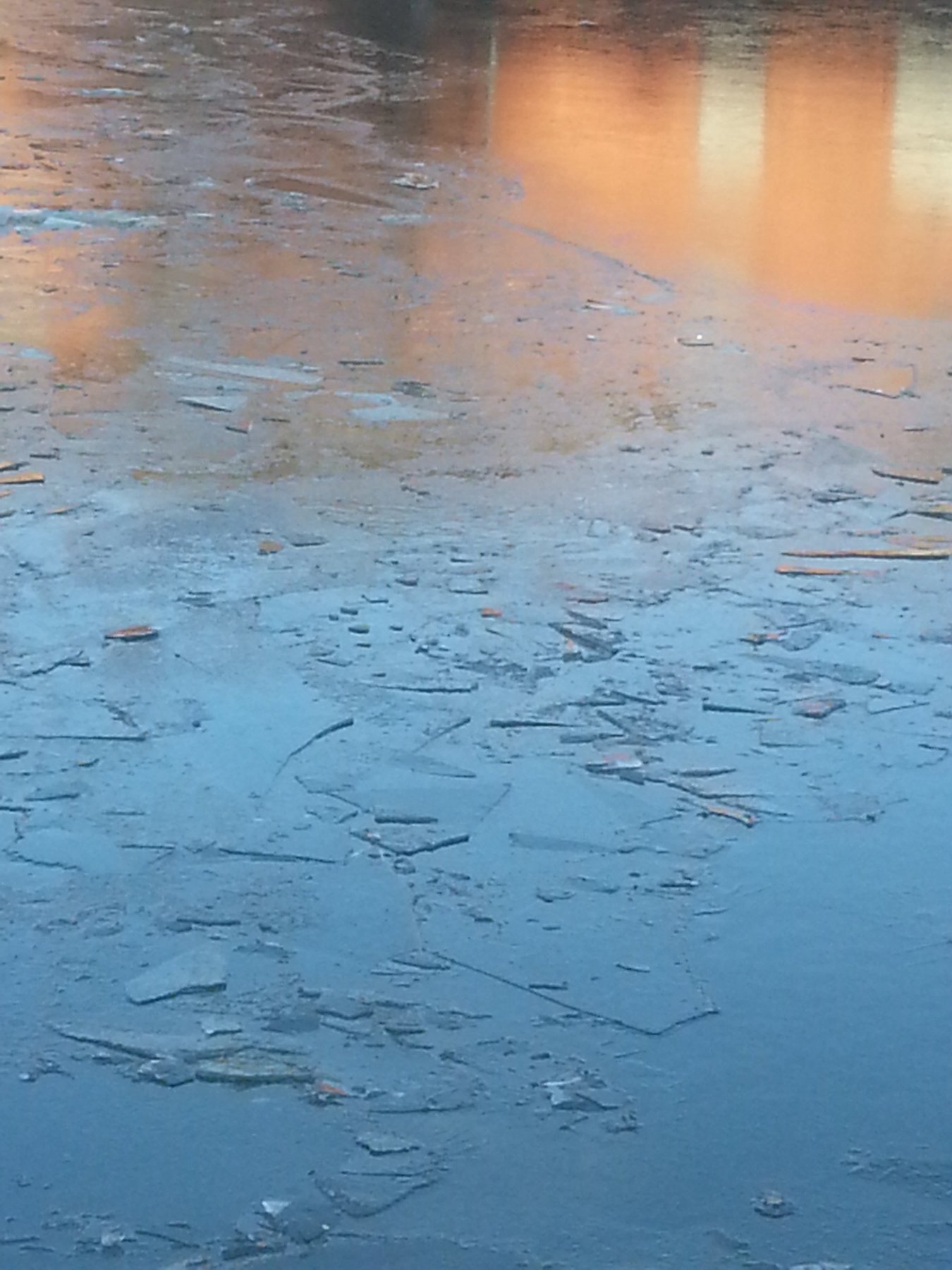 Reflection On Ice