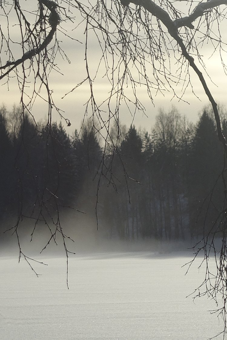 Frost