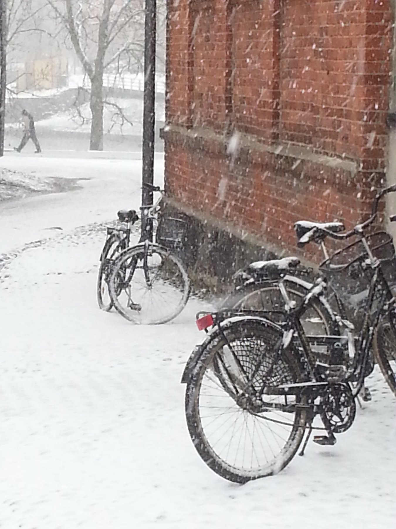 Bikes