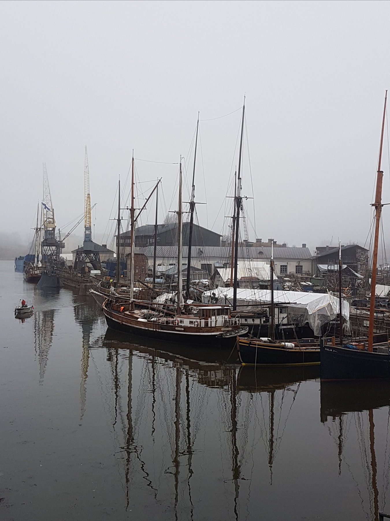 Dry Dock Spring Fog