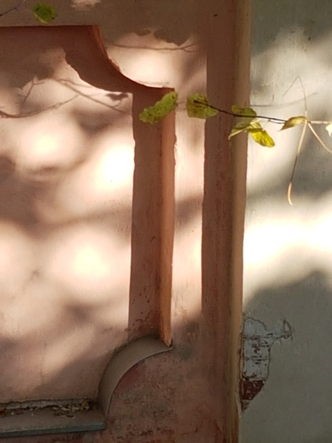 October Sun