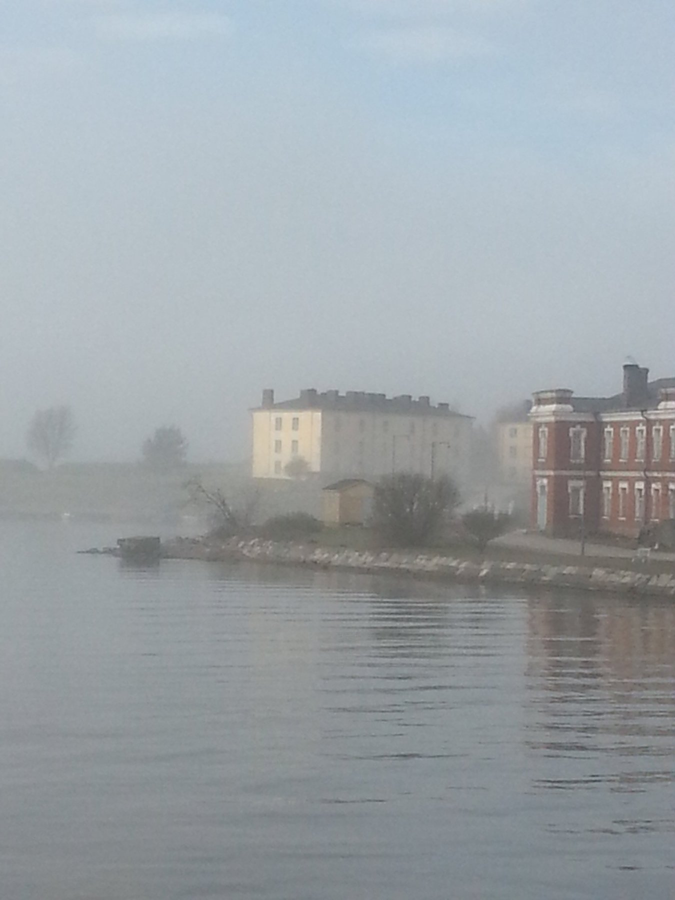 Spring Morning Fog