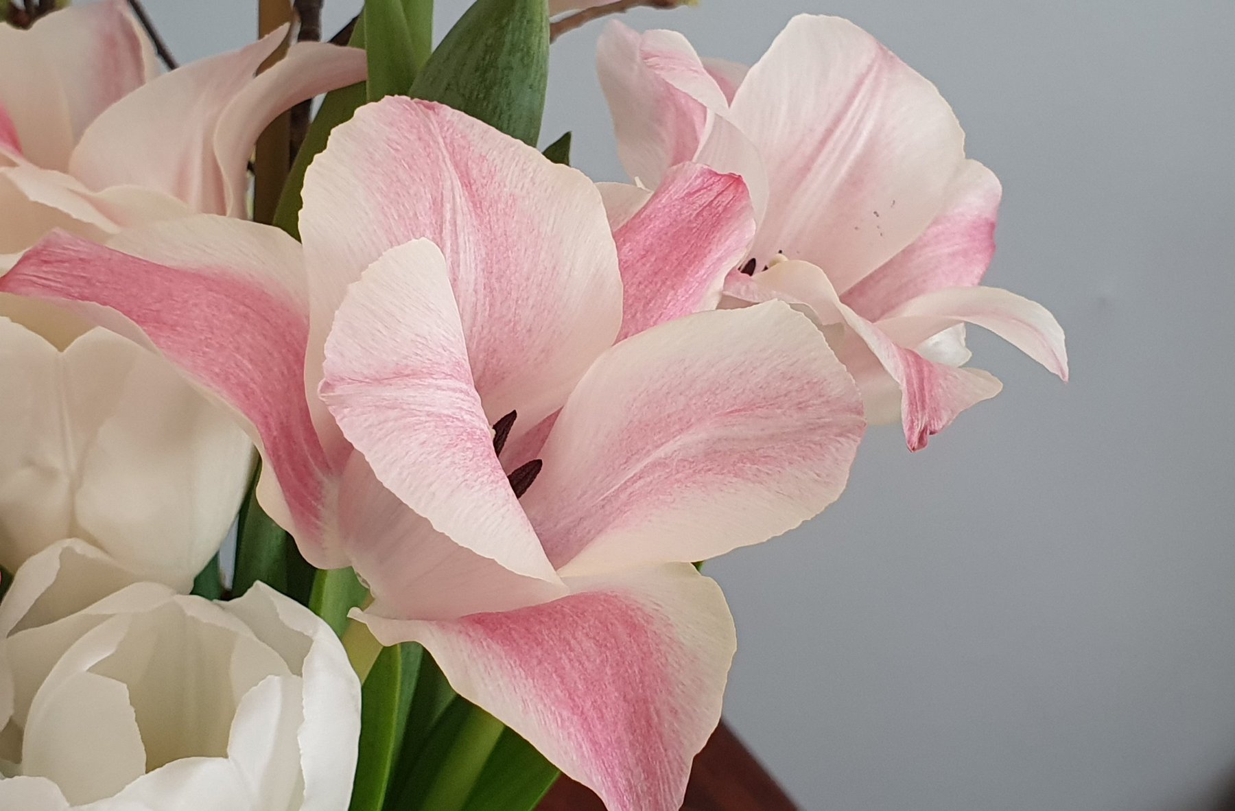 Pink And White