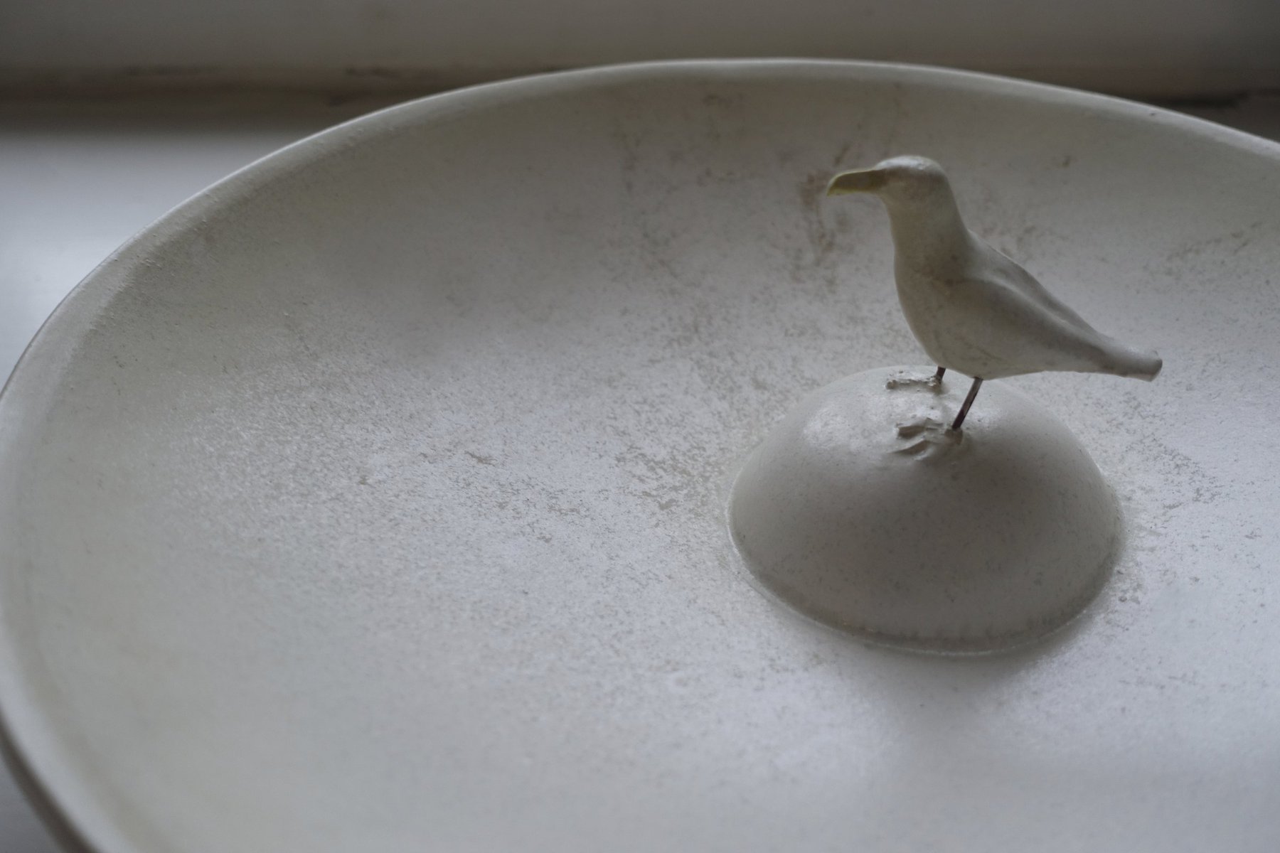 Gull Plate1